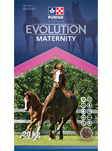 Evolution Maternity
